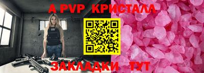 герыч Кингисепп