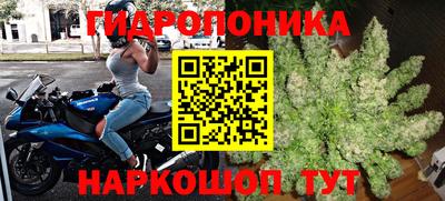 ГАЛЛЮЦИНОГЕННЫЕ ГРИБЫ Кимры