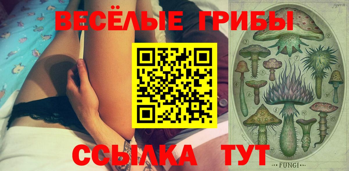 Златоуст  Галлюциногенные грибы Magic Shrooms  Вход с VPN 