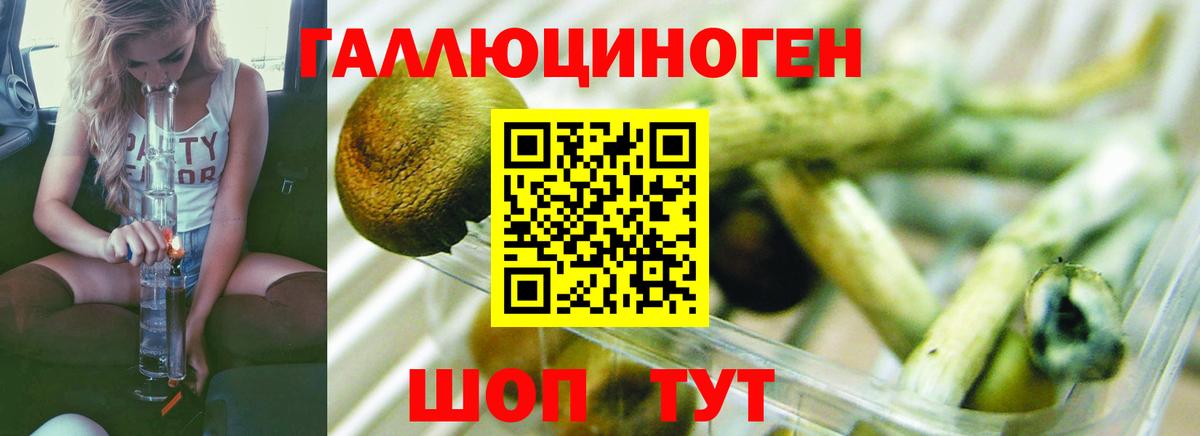 Псилоцибиновые грибы Cubensis Златоуст