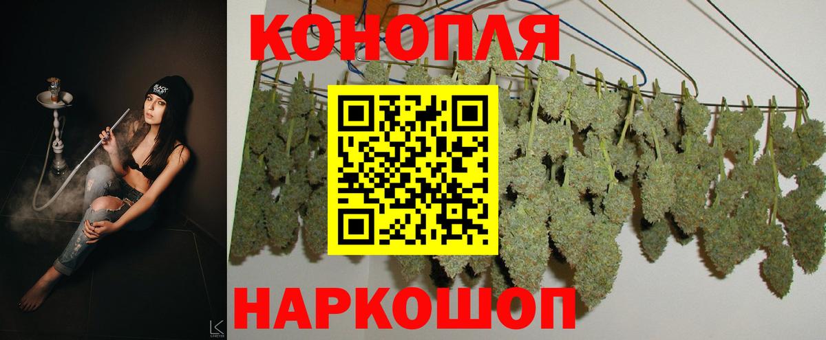 МАРИХУАНА тримм  Канабис планчик  Златоуст  Конопля сатива  Вход с VPN 
